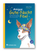 Amigos Gute-Nacht-Fibel - Sabina Pilguj