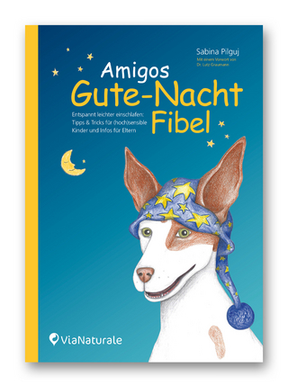Amigos Gute-Nacht-Fibel