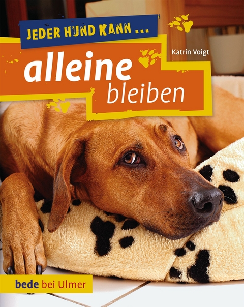 Jeder Hund kann alleine bleiben - Katrin Voigt