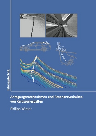Anregungsmechanismen und Resonanzverhalten von Karosseriespalten