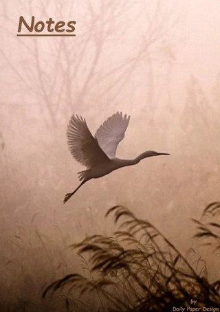 Notizbuch A5 liniert [Bird - Vogel] Softcover von Daily Paper Design | 80 Seiten | als Tagebuch, Bullet Journal, Notizheft | FSC-zertifiziert & aus nachhaltiger und umweltschonender Forstwirtschaft