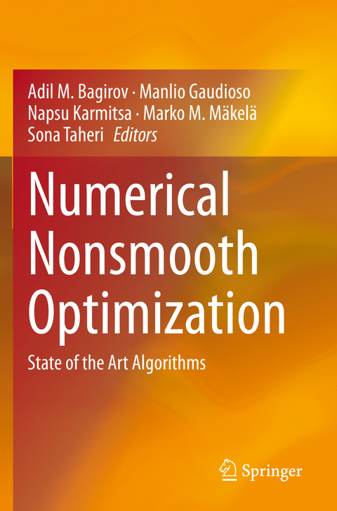 Numerical Nonsmooth Optimization - 
