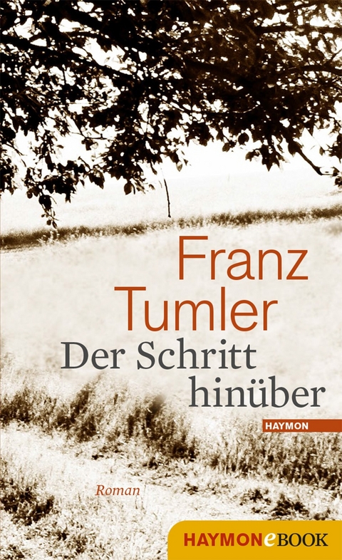 Der Schritt hin&uuml;ber - Franz Tumler