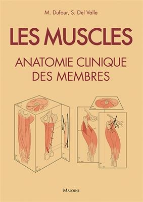 Les muscles : anatomie clinique des membres : 250 fiches illustrées