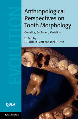 Anthropological Perspectives on Tooth Morphology - 