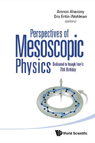 PERSPECTIVES OF MESOSCOPIC PHYSICS