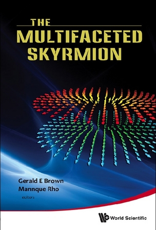 Multifaceted Skyrmion, The