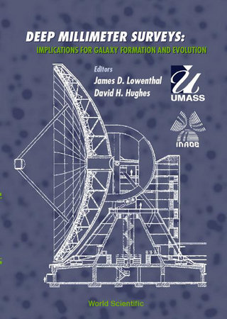 DEEP MILLIMETER SURVEYS