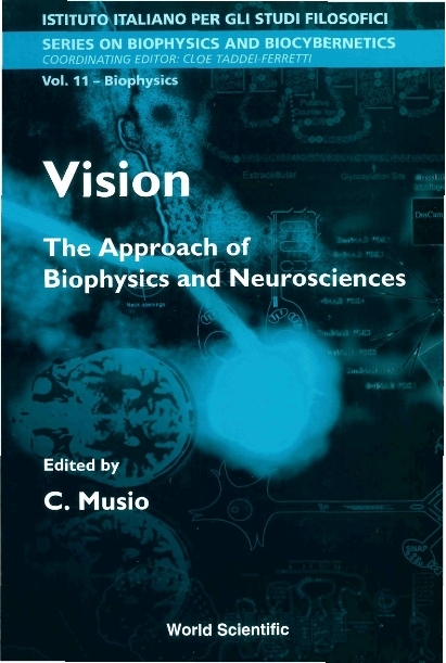 VISION (V11) - 