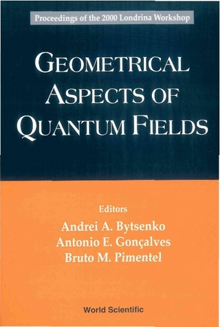GEOMETRICAL ASPECTS OF QUANTUM FIELDS