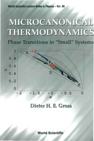 MICROCANONICAL THERMODYNAMICS (V66)
