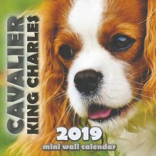 Cavalier King Charles 2019 Mini Wall Calendar