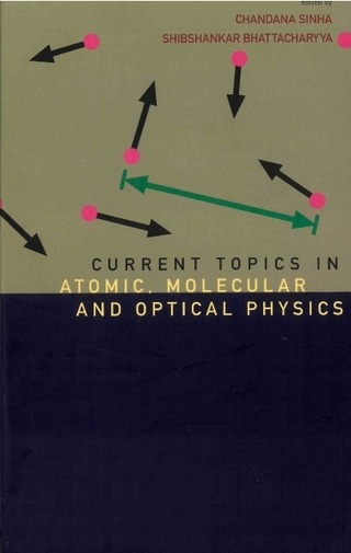 Current Topics In Atomic, Molecular And Optical Physics: Invited Lectures Of Tc-2005