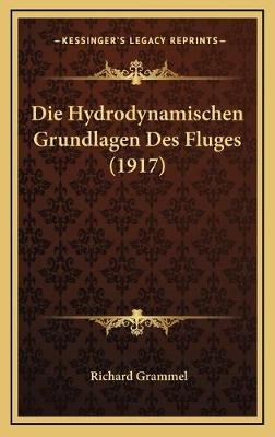 Die Hydrodynamischen Grundlagen Des Fluges (1917)