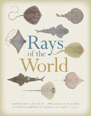 Rays of the World - 