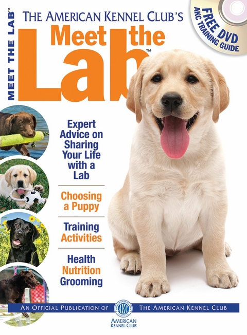 Meet the Lab -  American Kennel Club