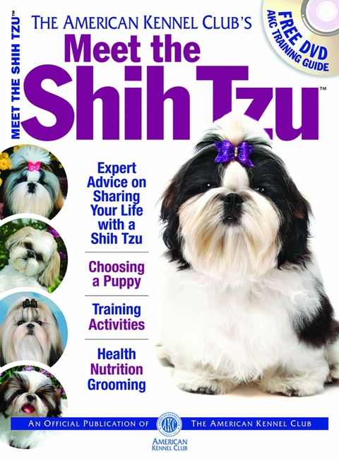 Meet the Shih Tzu -  American Kennel Club