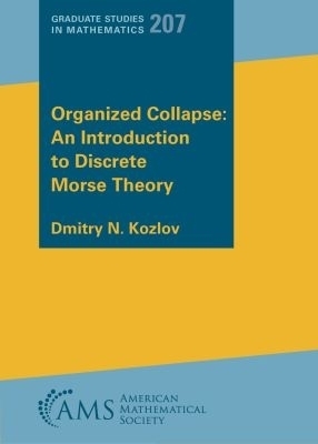 Organized Collapse: an Introduction to Discrete Morse Theory