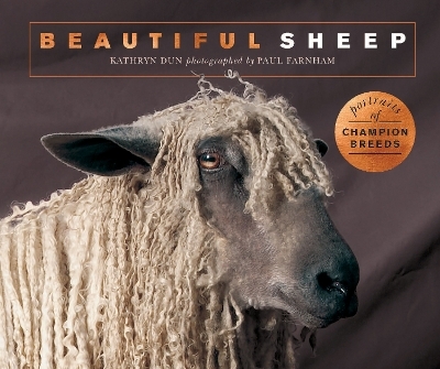 Beautiful Sheep - Kathryn Dun