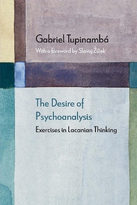 The Desire of Psychoanalysis - Gabriel Tupinamb&aacute;