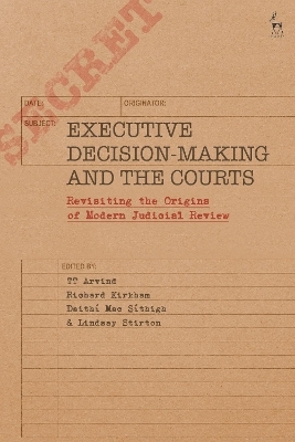 Executive Decision-Making and the Courts - 
