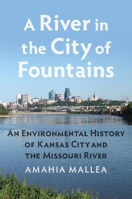 A River in the City of Fountains - Amahia Mallea