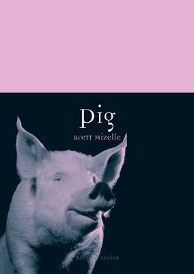 Pig -  Brett Mizelle