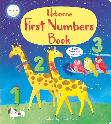 First Numbers Book - Mary Cartwright, Matthew Oldham