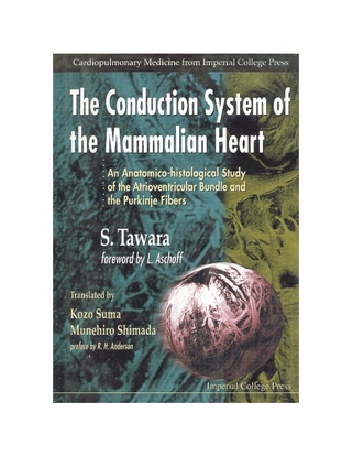 CONDUCTION SYSTEM OF THE MAMMALIAN...