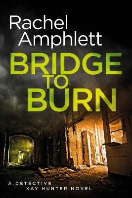 Bridge to Burn - Rachel Amphlett