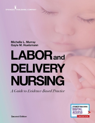 Labor and Delivery Nursing, Second Edition