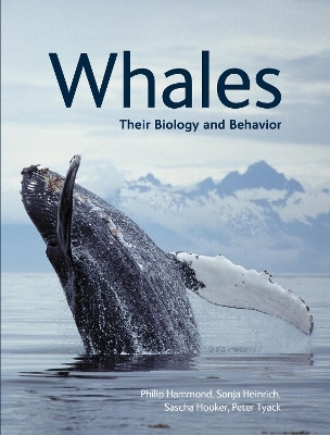 Whales - Phillip Hammond, Sonja Heinrich, Sascha Hooker, Peter Tyack