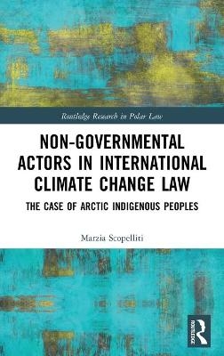 Non-Governmental Actors in International Climate Change Law