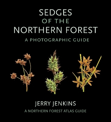 Sedges of the Northern Forest - Jerry Jenkins