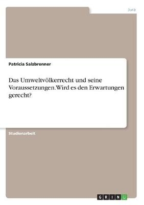 Das Umweltv&Atilde;&para;lkerrecht und seine Voraussetzungen. Wird es den Erwartungen gerecht? - Patricia Salzbrenner