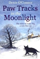 Paw Tracks in the Moonlight -  Denis O'Connor