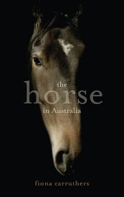 Horse in Australia