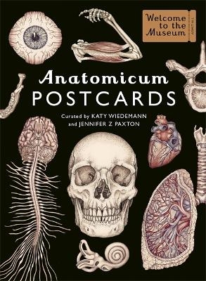 Anatomicum Postcard Box - Jennifer Z Paxton