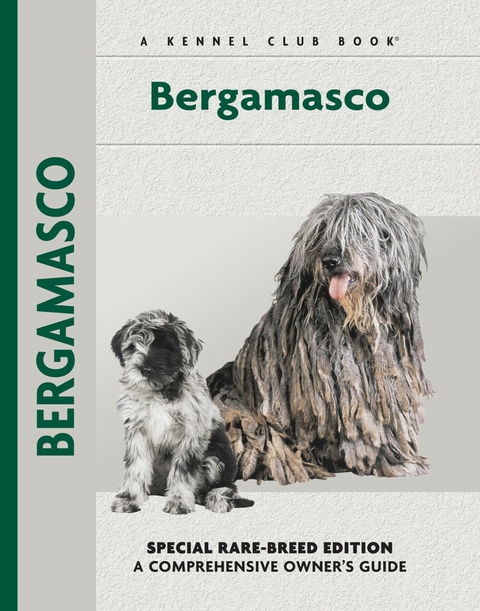 Bergamasco -  Andreoli, Donn de Falcis