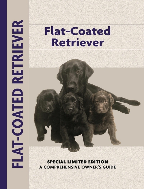 Flat-Coated Retriever - John Wakefield