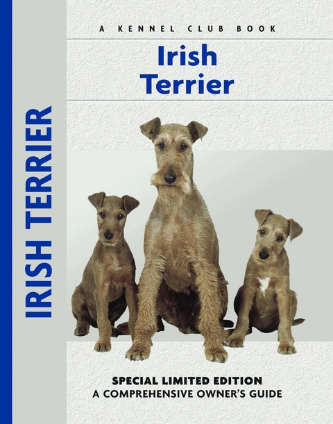 Irish Terrier - Bardi McLennan
