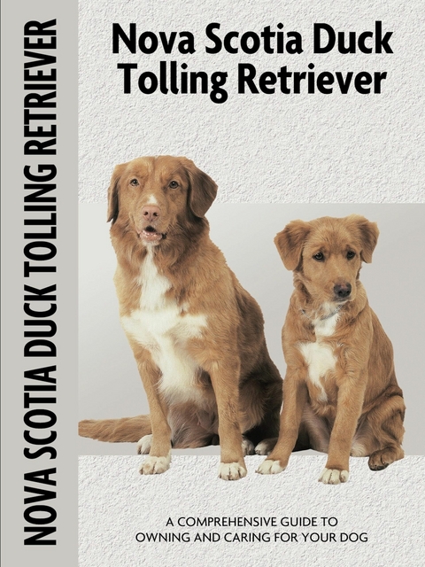 Nova Scotia Duck Tolling Retriever (Comprehensive Owner's Guide) - Nona Kilgore Bauer