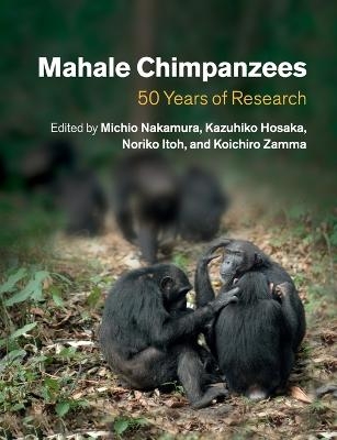 Mahale Chimpanzees - 
