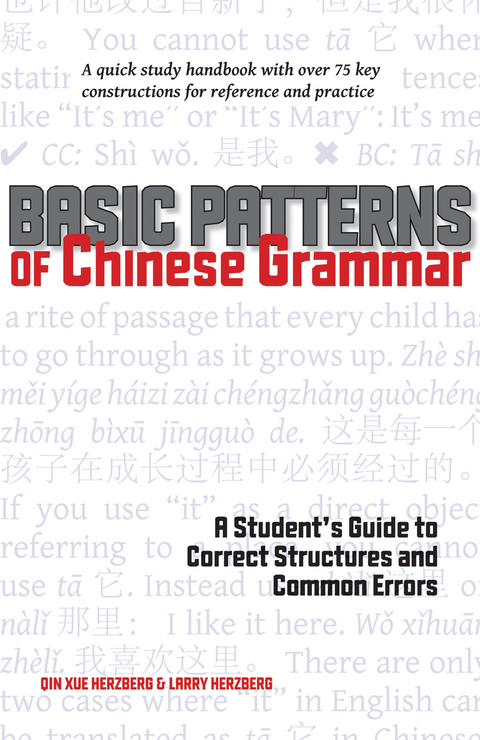 Basic Patterns of Chinese Grammar - Qin Xue Herzberg, Larry Herzberg