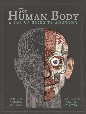 The Human Body - Richard Walker