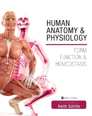Human Anatomy and Physiology