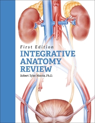 Integrative Anatomy Review