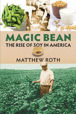 Magic Bean - Matthew Roth