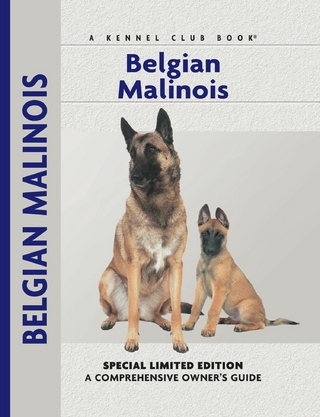 Belgian Malinois