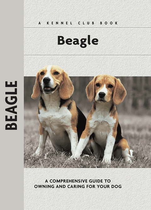 Beagle - Evelyn Elizabeth Lanyon